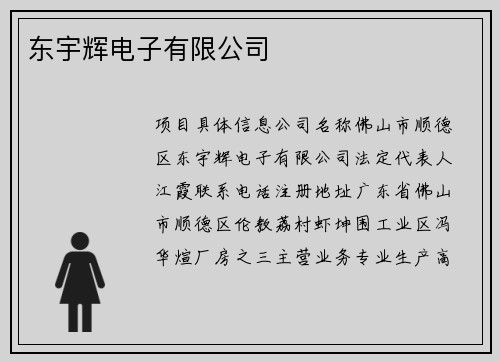 东宇辉电子有限公司